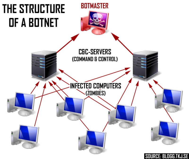 Botnet Structure