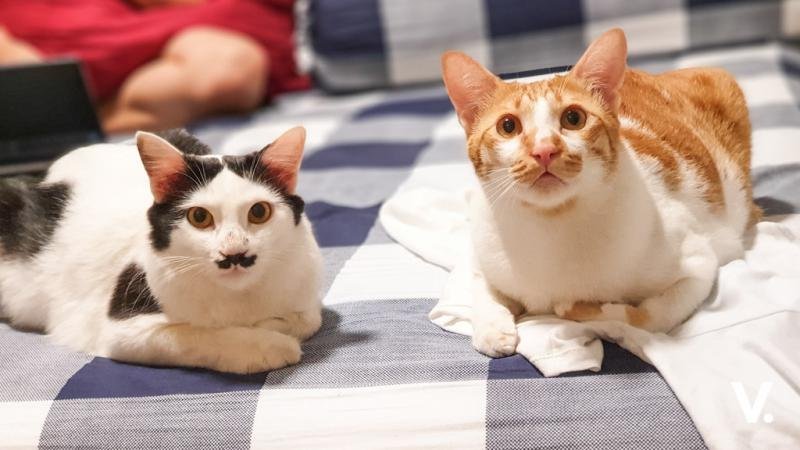 Samsung Galaxy Note9