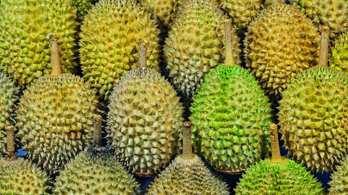 Shopee 6.6 Super Sale Durians