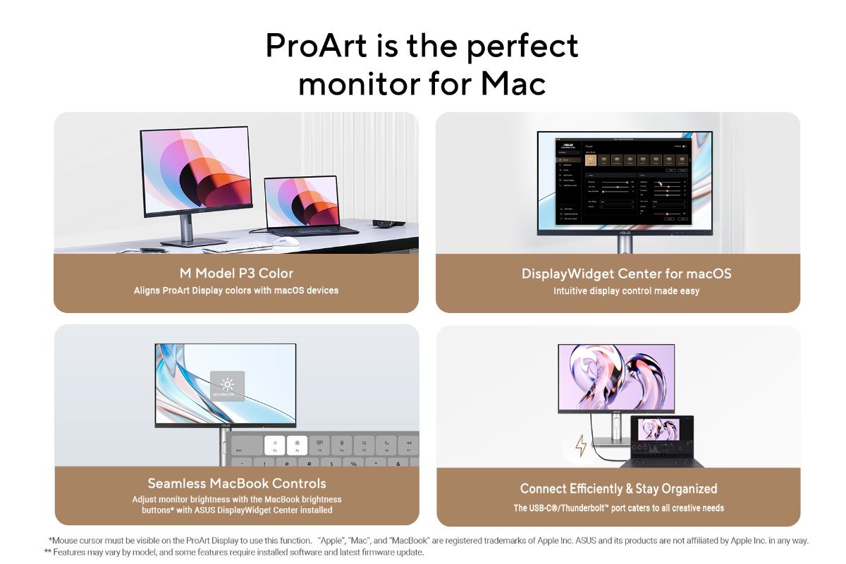 Wh ASUS ProArt Display is the perfect monitor for Mac